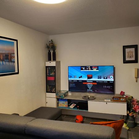 Appt Cosy Entier Avec Piscine Toulouse Exterior foto